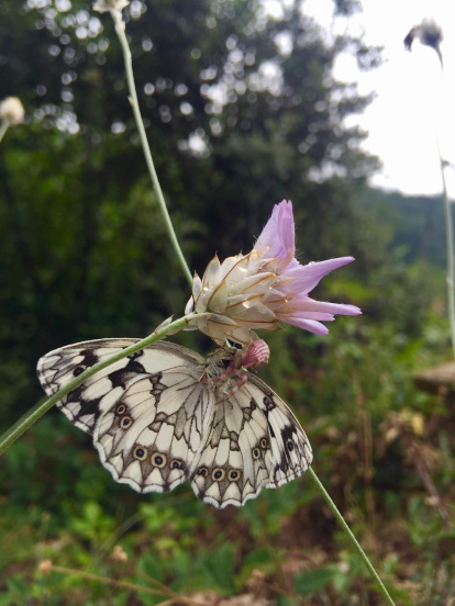 Envia'ns fotos relacionades amb l'estiu i guanya una estada a l'Hotel Estanys Blaus de Tavascan.