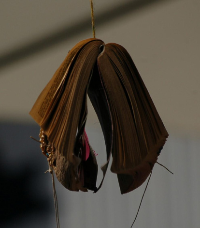 El pom d'una porta, una abella en una flor, una mà,...