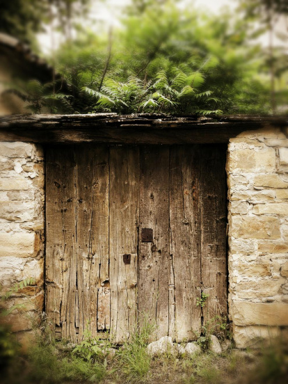 El pom d'una porta, una abella en una flor, una mà,...