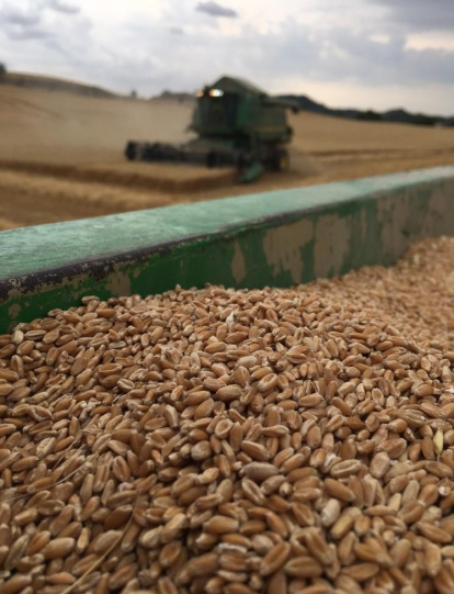 Jesús Marsiñach Prat