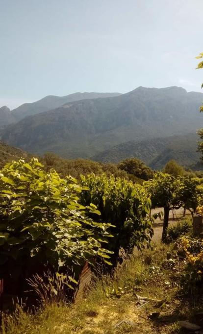 Mireia Gayarre clotet