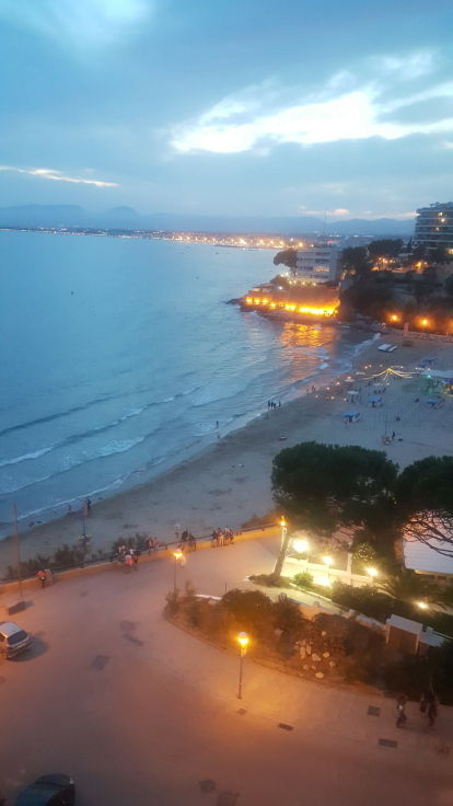 Anna M. Fernandez Colom