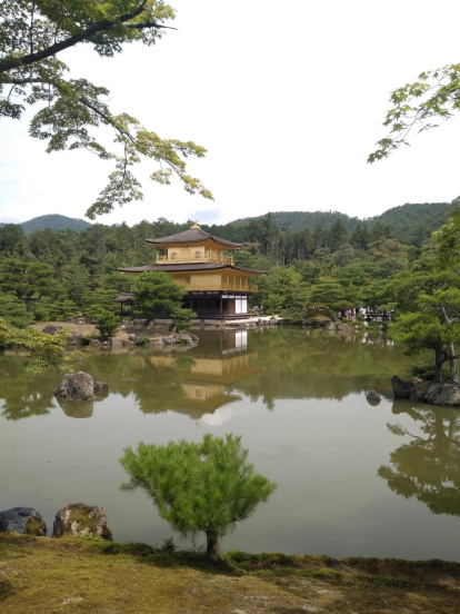 Laia Noguera vilaró