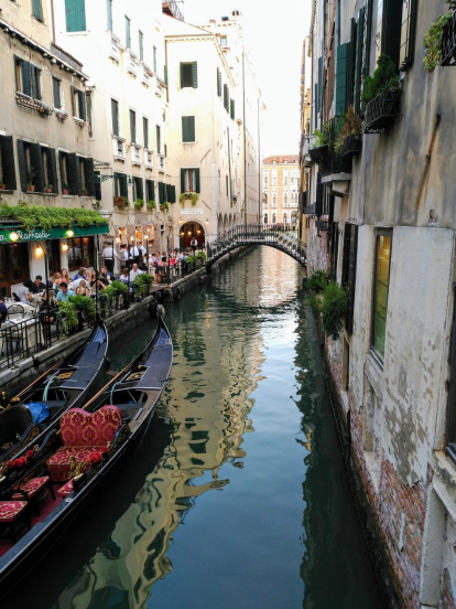 Àngels Pardo Revilla