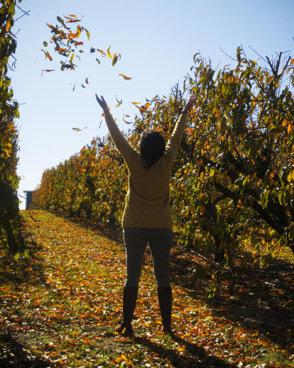 La boira, les fulles que cauen, els seus fruits... la tardor és una estació molt fotogènica.