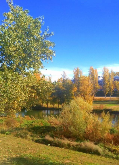 La boira, les fulles que cauen, els seus fruits... la tardor és una estació molt fotogènica.