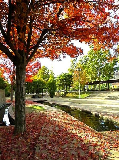 Tere Siurana Hervera