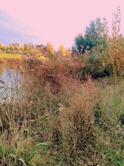 La boira, les fulles que cauen, els seus fruits... la tardor és una estació molt fotogènica.