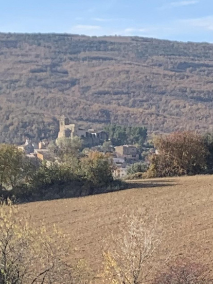 La boira, les fulles que cauen, els seus fruits... la tardor és una estació molt fotogènica.