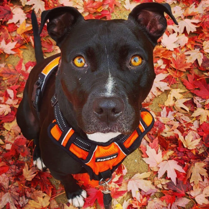 Silvia Miquel Marquez