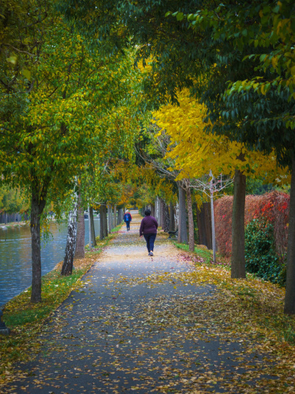 La boira, les fulles que cauen, els seus fruits... la tardor és una estació molt fotogènica.