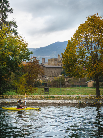 La boira, les fulles que cauen, els seus fruits... la tardor és una estació molt fotogènica.