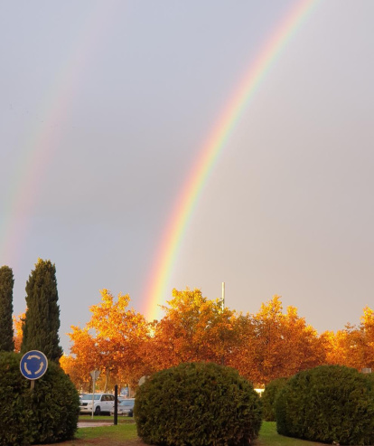 La boira, les fulles que cauen, els seus fruits... la tardor és una estació molt fotogènica.