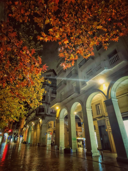 La boira, les fulles que cauen, els seus fruits... la tardor és una estació molt fotogènica.