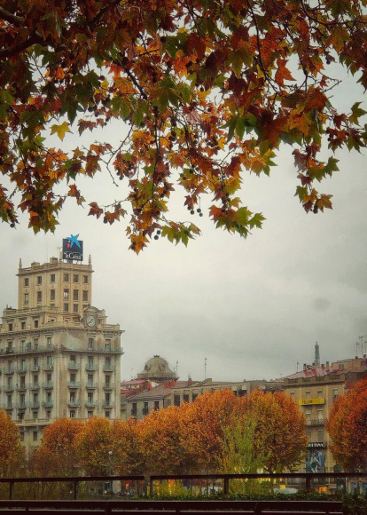 La boira, les fulles que cauen, els seus fruits... la tardor és una estació molt fotogènica.