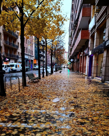 La boira, les fulles que cauen, els seus fruits... la tardor és una estació molt fotogènica.