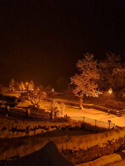 La boira, les fulles que cauen, els seus fruits... la tardor és una estació molt fotogènica.