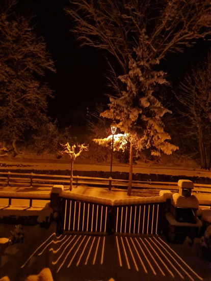 La boira, les fulles que cauen, els seus fruits... la tardor és una estació molt fotogènica.