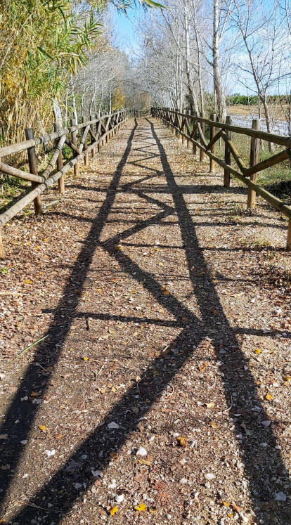 La boira, les fulles que cauen, els seus fruits... la tardor és una estació molt fotogènica.