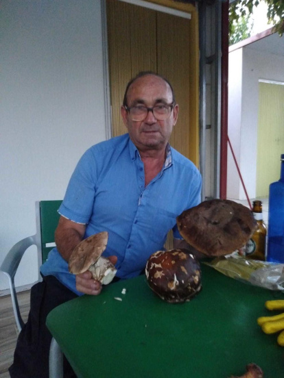 Ramon Godia Visa