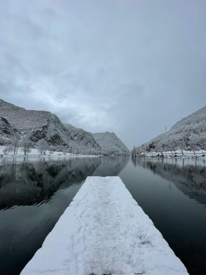 La boira, les fulles que cauen, els seus fruits... la tardor és una estació molt fotogènica.