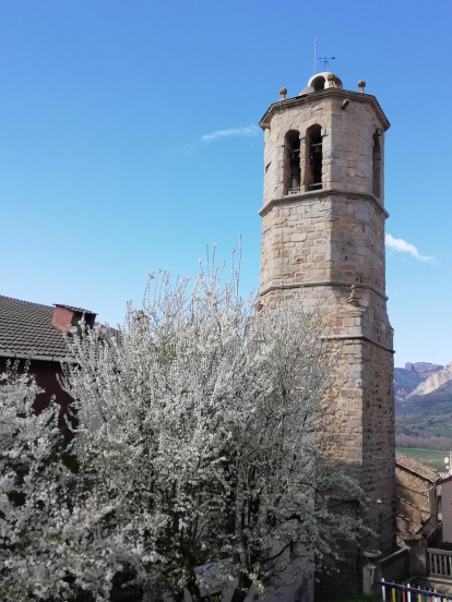 Arbres florits, camps verds i bon temps...ja és aquí la primavera!
