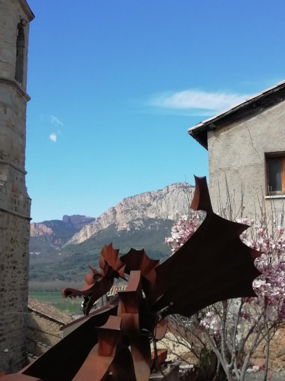 Arbres florits, camps verds i bon temps...ja és aquí la primavera!