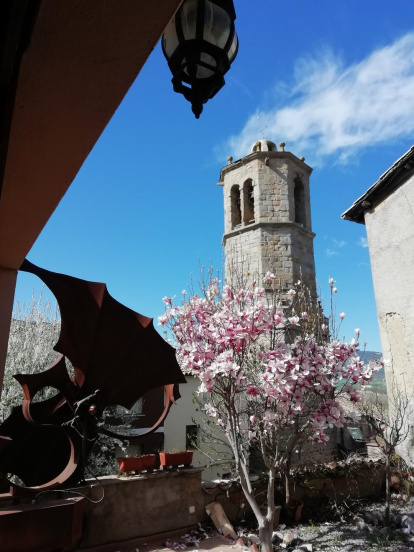 Arbres florits, camps verds i bon temps...ja és aquí la primavera!