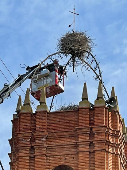 Arbres florits, camps verds i bon temps...ja és aquí la primavera!