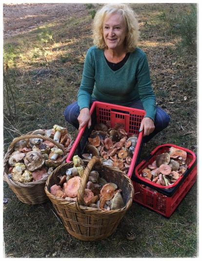 Ceps, rovellons, fredolics...envia'ns fotos de la teua excursió al bosc