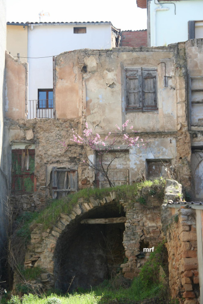 Arbres florits, camps verds i bon temps...ja és aquí la primavera!