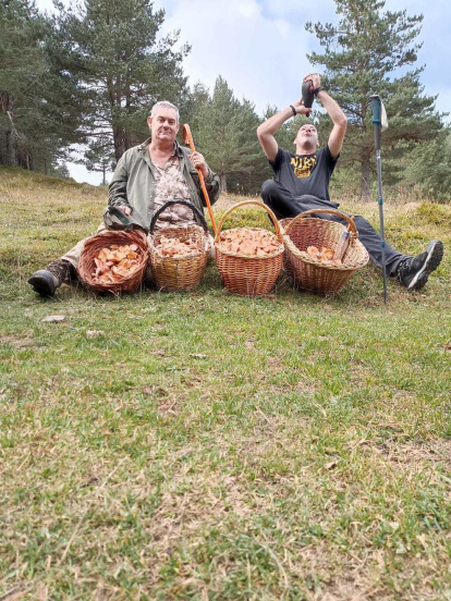 Ceps, rovellons, fredolics...envia'ns fotos de la teua excursió al bosc