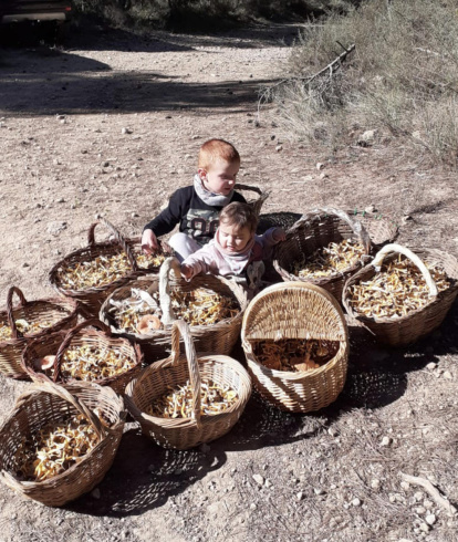 Ceps, rovellons, fredolics...envia'ns fotos de la teua excursió al bosc