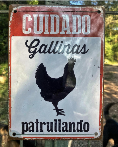 Fotos de cartells, senyals de trànsit o notificacions divertides.