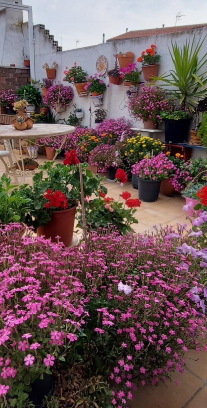 Arbres florits, camps verds i bon temps...ja és aquí la primavera!