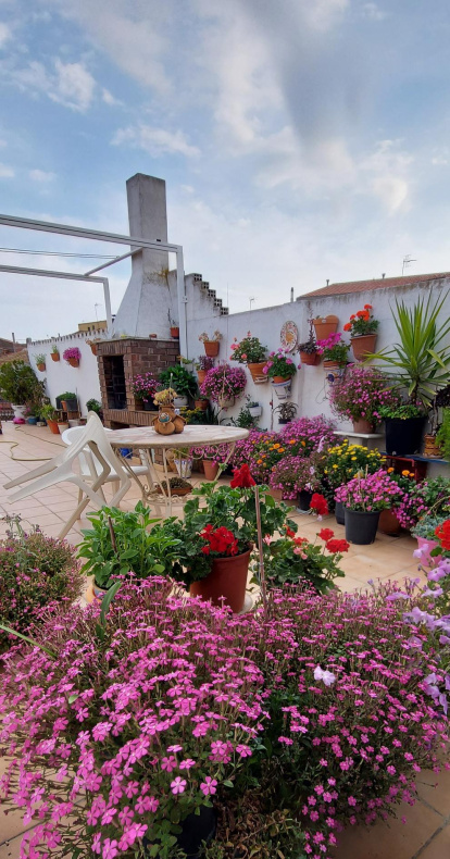 Arbres florits, camps verds i bon temps...ja és aquí la primavera!