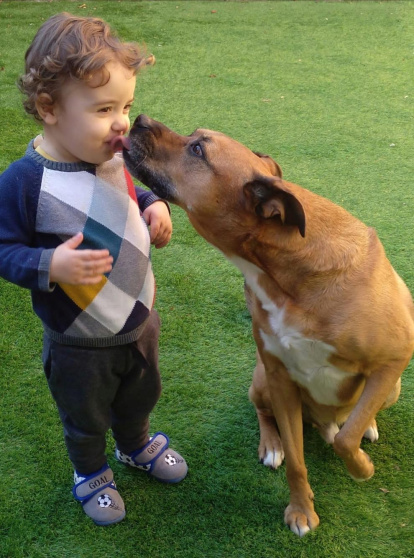 ¡Perros, gatos, canarios, conejos...presentanos a tu mascota!