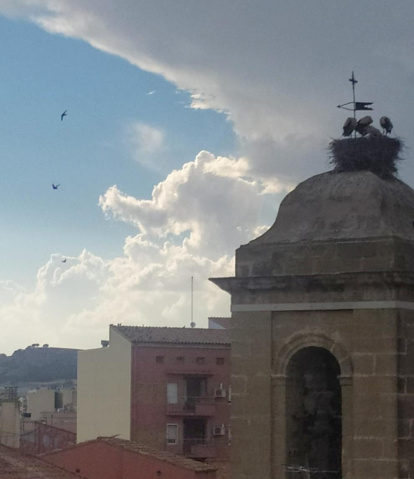 Envia'ns fotos relacionades amb l'estiu i guanya una estada a l'Hotel Castellarnau d'Escaló (Pallars Sobirà).