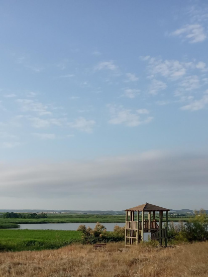 Montse Panadés   Marsellés