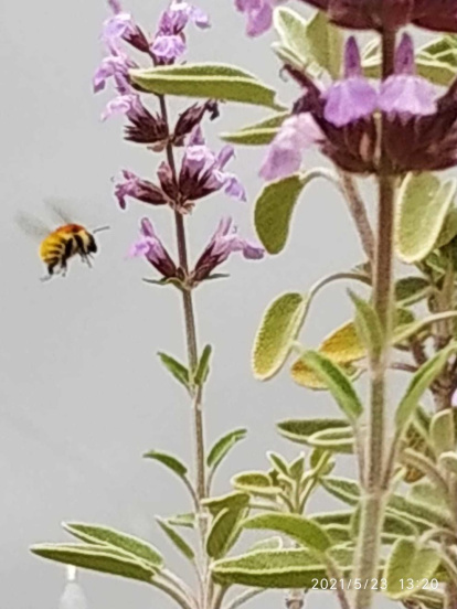 Envia'ns fotos relacionades amb l'estiu i guanya una estada a l'Hotel Castellarnau d'Escaló (Pallars Sobirà).