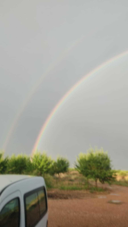 Josep Guillamet Rosell