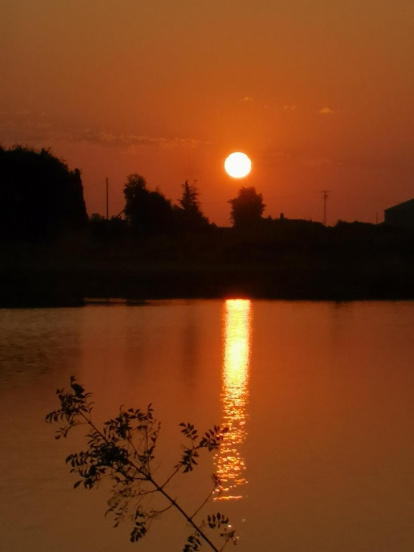 Elisabet Martin Pont