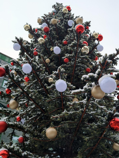 El balcó, el pessebre, l'arbre, el centre de taula...envia'ns fotos de la teva decoració nadalenca.