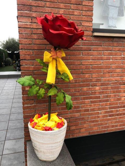 Aquestes són les imatges que ens heu enviat del vostre Sant Jordi confinat. Participa enviant-nos els teves imatges a través de les nostres xarxes socials o a través del correu segrecom@segre.com