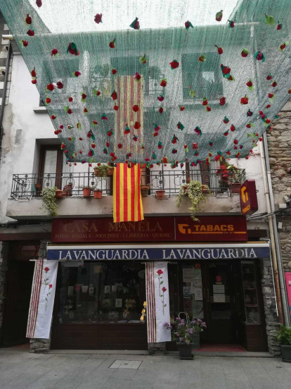Aquestes són les imatges que ens heu enviat del vostre Sant Jordi confinat. Participa enviant-nos els teves imatges a través de les nostres xarxes socials o a través del correu segrecom@segre.com