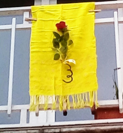 Aquestes són les imatges que ens heu enviat del vostre Sant Jordi confinat. Participa enviant-nos els teves imatges a través de les nostres xarxes socials o a través del correu segrecom@segre.com