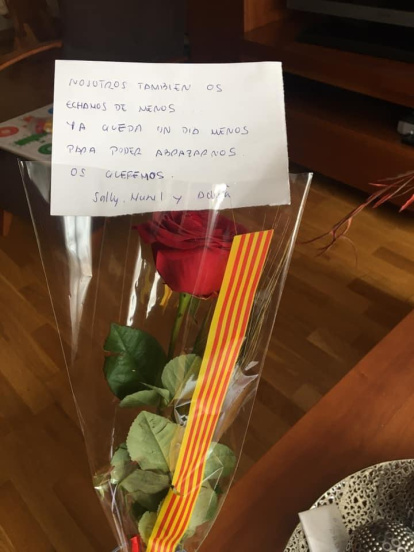 Aquestes són les imatges que ens heu enviat del vostre Sant Jordi confinat. Participa enviant-nos els teves imatges a través de les nostres xarxes socials o a través del correu segrecom@segre.com