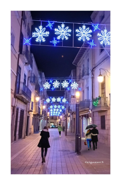 El fred, la boira i la neu... l'hivern ja és aquí!