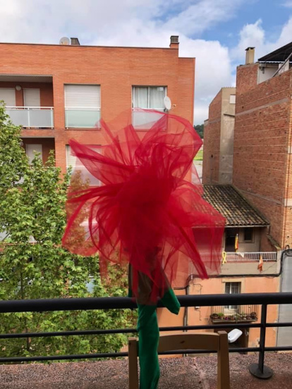 Aquestes són les imatges que ens heu enviat del vostre Sant Jordi confinat. Participa enviant-nos els teves imatges a través de les nostres xarxes socials o a través del correu segrecom@segre.com