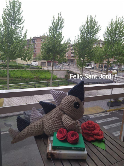 Aquestes són les imatges que ens heu enviat del vostre Sant Jordi confinat. Participa enviant-nos els teves imatges a través de les nostres xarxes socials o a través del correu segrecom@segre.com